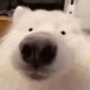 想不出昵称1111