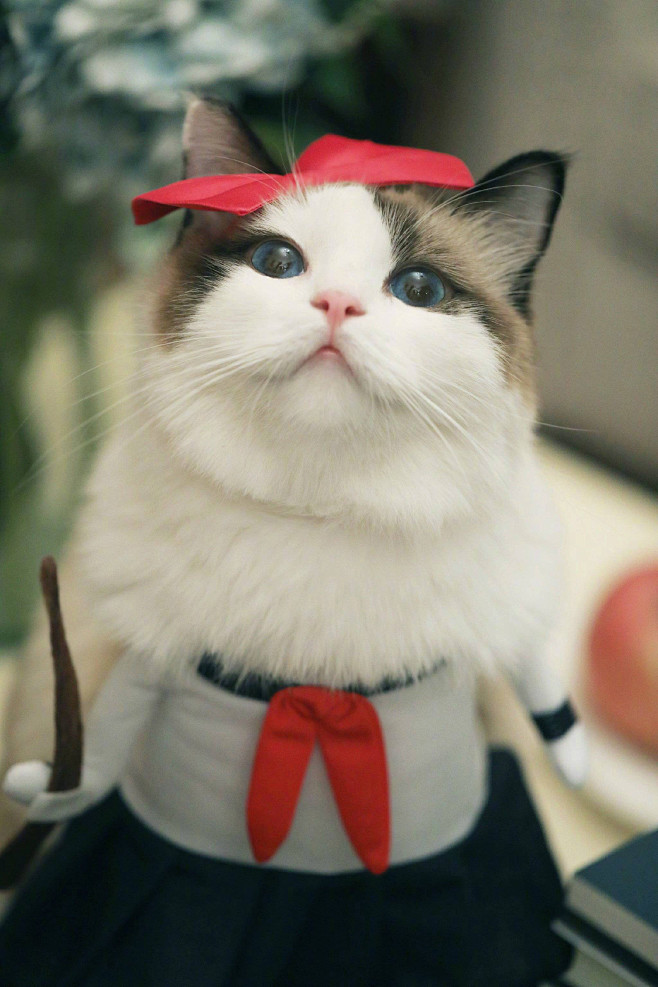 狐狸和馒头