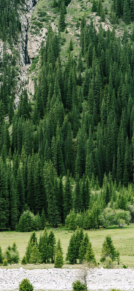 568_1227竖版 竖屏