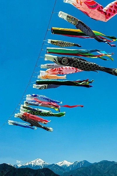 鲤鱼旗始于江户时代其创意来自中国的鲤鱼跳龙门祈愿家中男孩将来出