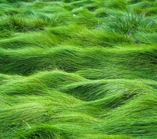 185842kd88t398z8u9ayh6jpg21601920