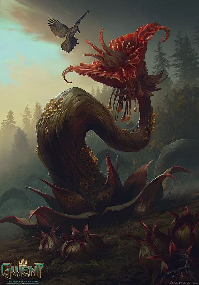 昆特牌原画丨annapodedworna