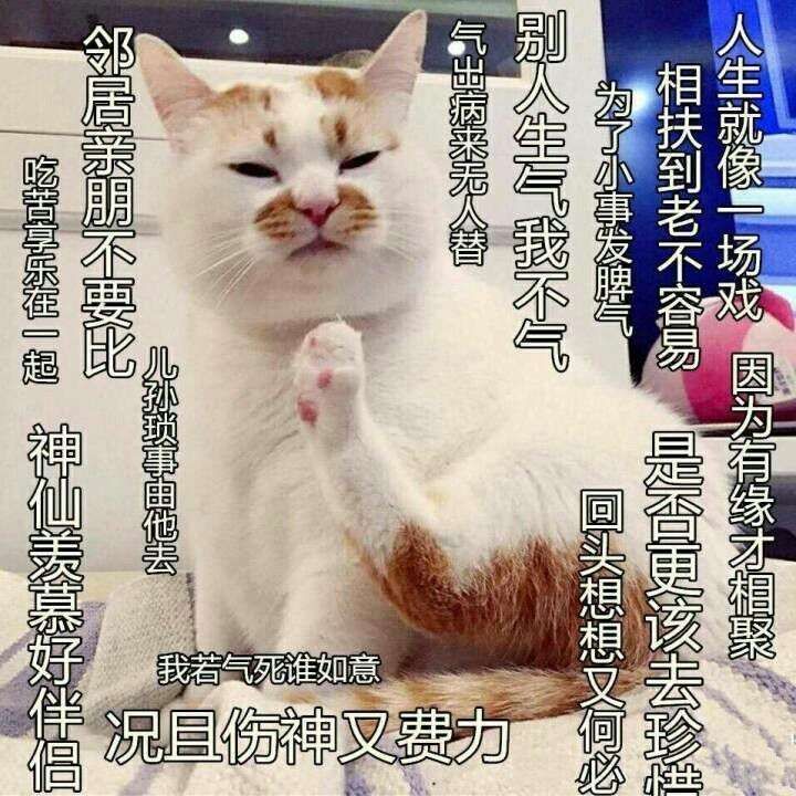 不会开车的厨子