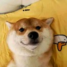 高文成