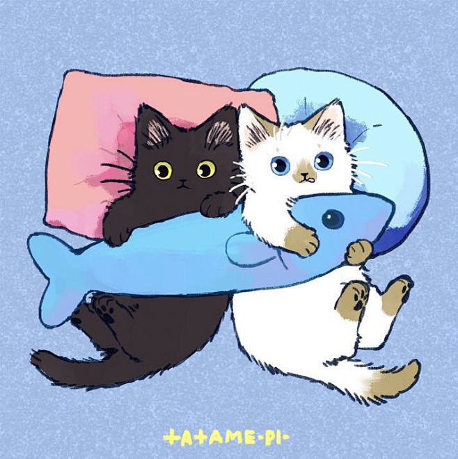猫咪头像图源twittertatamepi