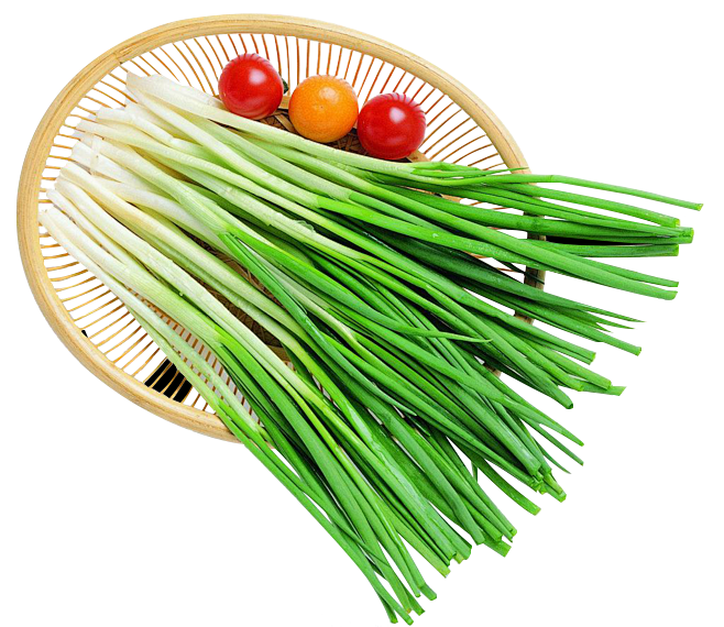 葱