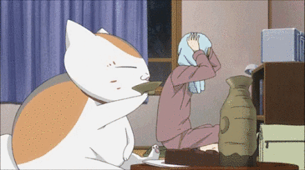 夏目友人帐猫咪老师教你品茶gif动图