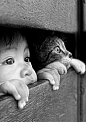 Le regard d'un chat et d'un enfant