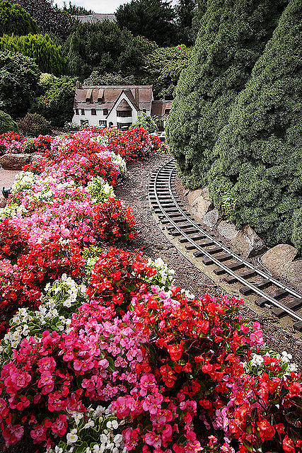 摄影 旅行风景 公路 交通 景观 一路繁花