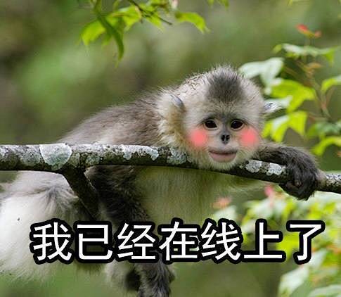 林夕指针采集于2019-02-26 12:18:17在线1喜欢以图达意·表情林夕指针