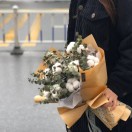呆头呆鹅