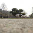 谷有