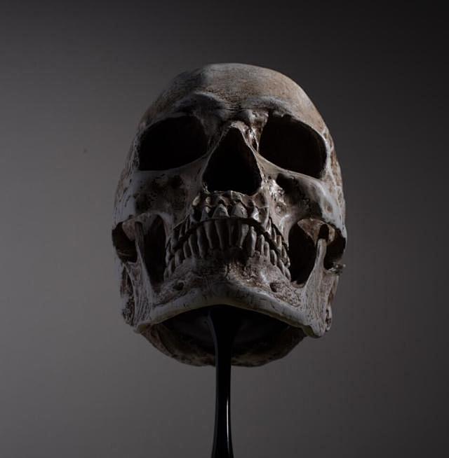 艺用人体头骨正视仰视俯视360度高清正版漫画插画创作素材淘宝网