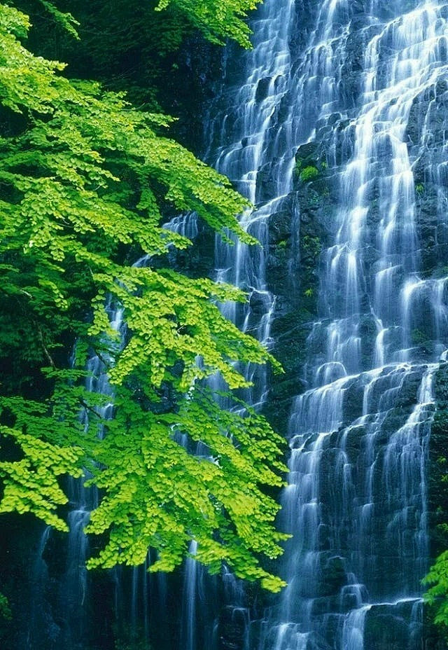 唯美风景精选手机壁纸