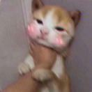默桑怀