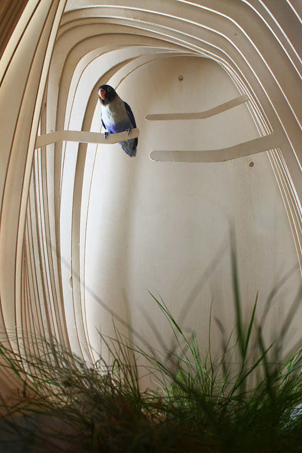 birdcageonindustrialdesignserved采集大赛工业设计产品设计创意鸟巢