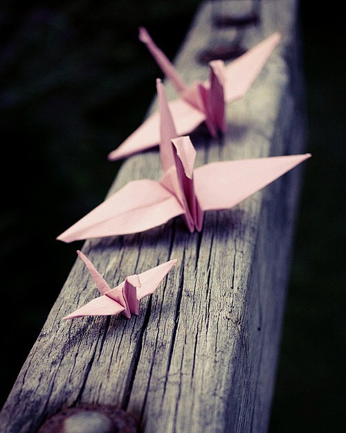 思念的千纸鹤