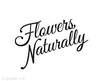 标志说明flowersnaturally花店标志设计