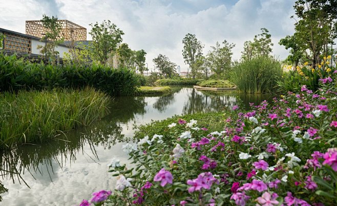 商场水处理生态池塘