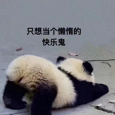 不想学校只想睡觉表情包女生头像我要个性网