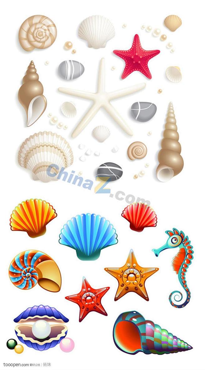 可爱卡通贝壳矢量