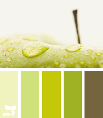黄绿色调