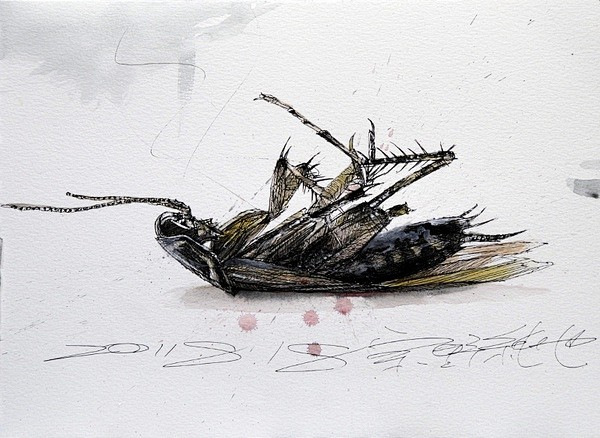 不安分的笔触孤独的色彩宗野纯也钢笔画欣赏二