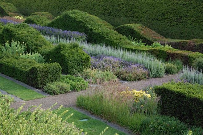 景观植物绿篱空间营造4500例丨景观设计素材资源资料意向图