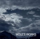 fuxing_mole