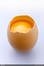 破壳的鸡蛋高清图片