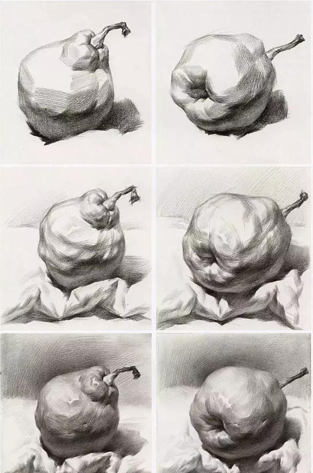 素描静物单体绘画练习