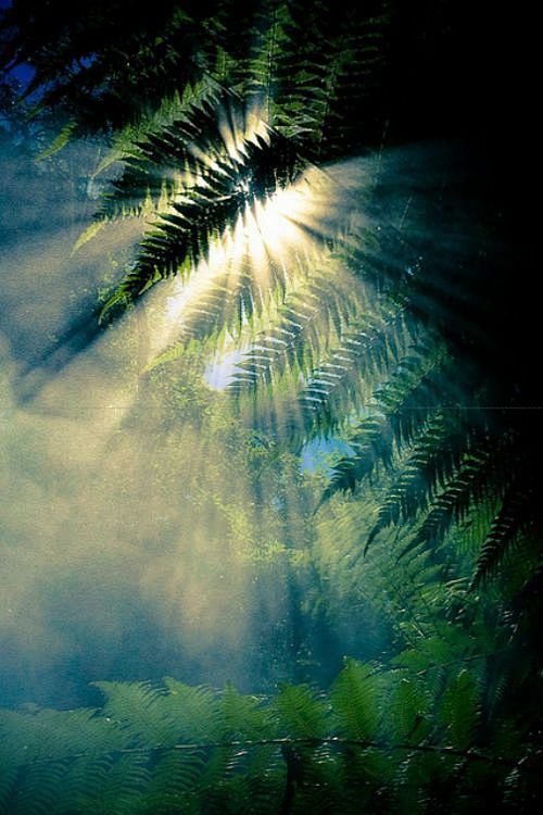 happyangel从代外英转采于2022-01-23 13:02:56光影风景happyangel