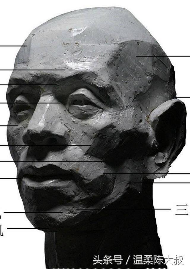 人体头部基本块面结构学头像的你肯定有用