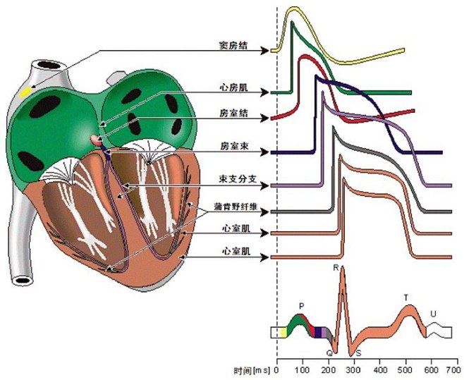 点击查看上一张