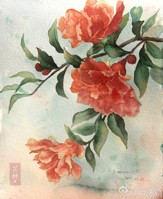 水彩石榴花