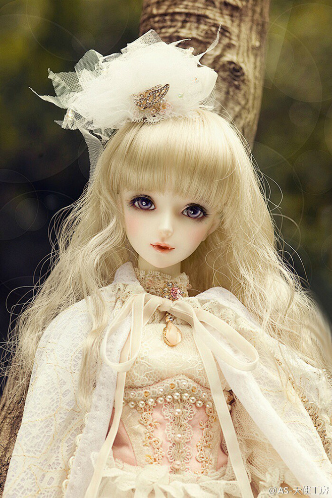 as天使工房bjd娃娃