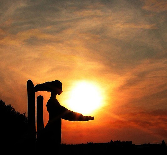 沧桑后的昂然向上