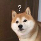 柒零qqqqq
