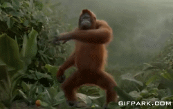 猩猩跳舞表情包图片