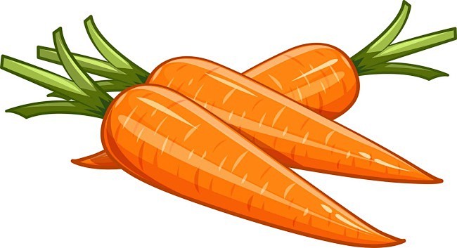蔬菜胡萝卜