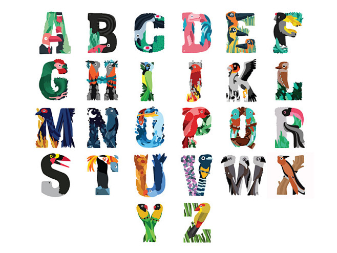 艺术图形艺术鸟动物角色创作彩色绘图数字插画土坯设计艺术2d矢量图