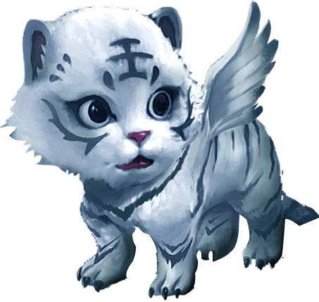 转采于2019-12-31 17:19:30萌宠奇缘动物嘉不在的星期天同采自bbcs