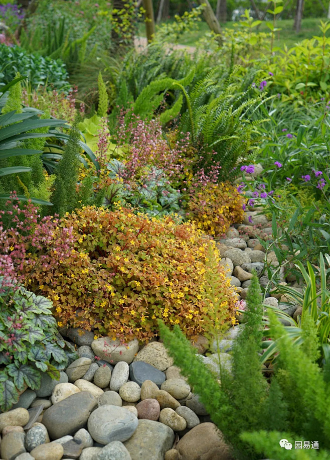 就地取材的卵石旱溪花境不是装饰它是功能性的屋檐滴水收集下排防止