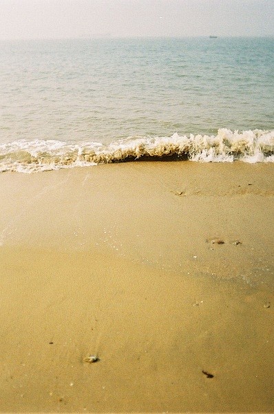 面朝大海春暖花開