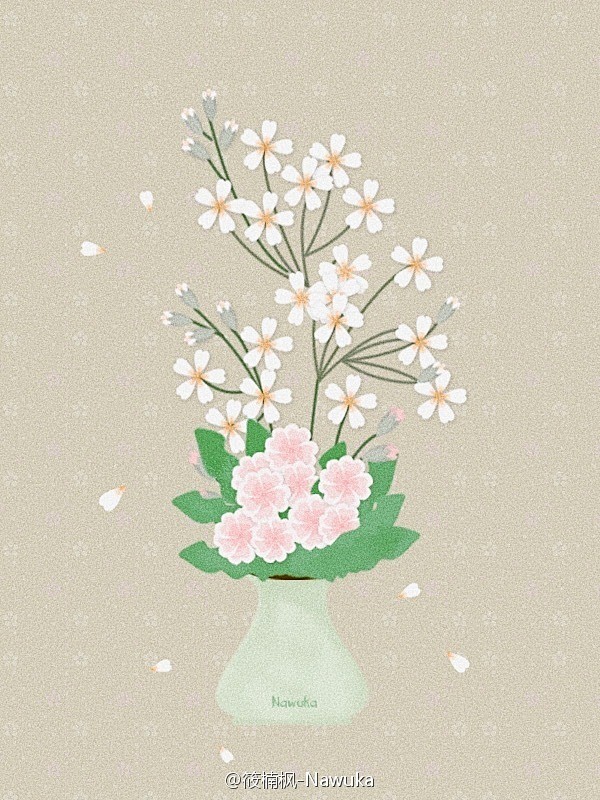 报春花还有一个名字叫"少女樱草"手绘nawuka该采集也在以下画板加载