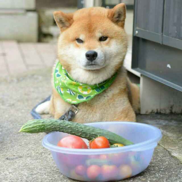 lrPPVPe9