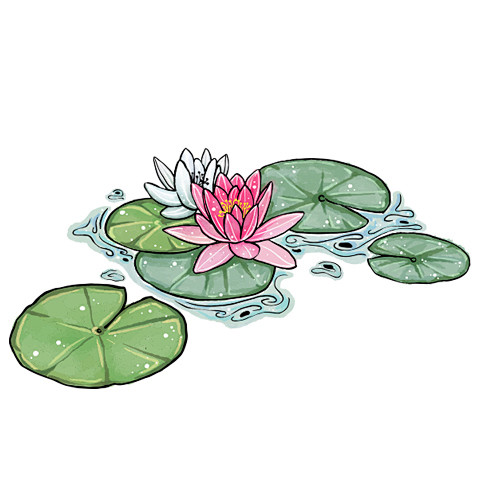 17:25:34水生花-睡莲背景素材我要给你买o泡果奶喝该采集也在以下画板