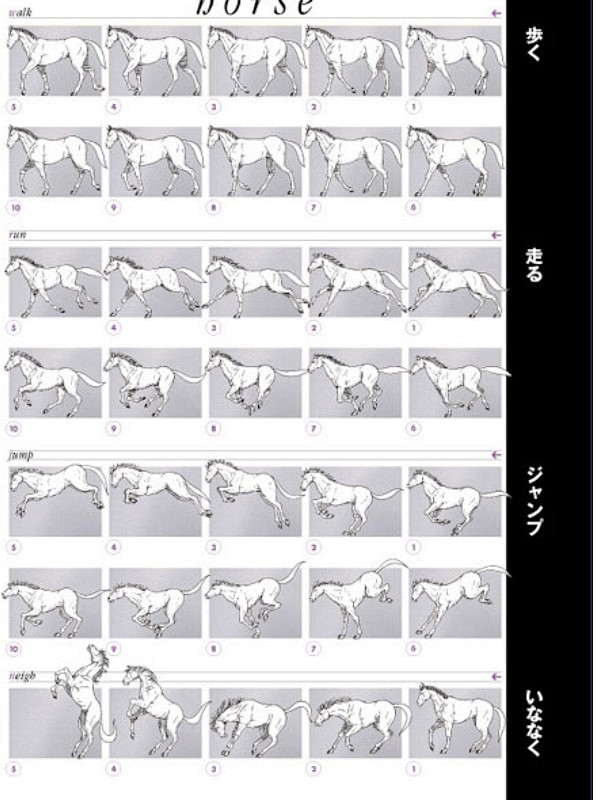 马走路运动规律图片