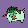 是猫熊不是熊猫
