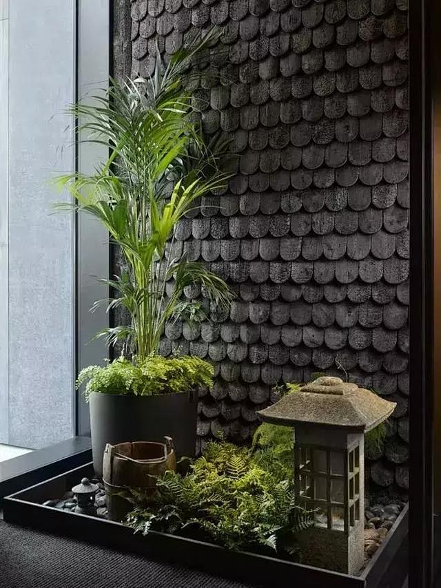 室内造景